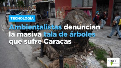 Ambientalistas denuncian la masiva tala de árboles que sufre Caracas