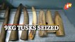 Illegal Ivory Trade: Wildlife Smuggler Apprehended, 6 Tusks Seized In Odisha