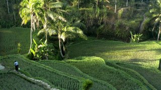 Indonesia Nature Beauty _ Royalty Free _ Stock Footage _ No copyright Video