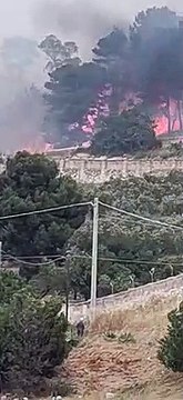 Lo scirocco scatena un vasto incendio ad Erice, evacuate alcune case