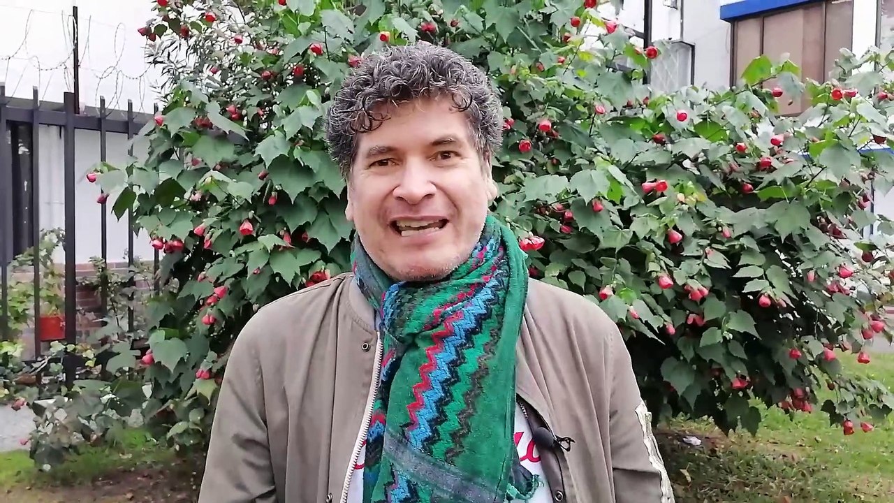 Videocolumna de opinión: Julio Correal