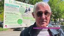 Montbrison : la Ville prône l'harmonie entre les oiseaux et les riverains
