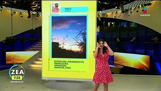 Perico engaña a testigos de Jehová