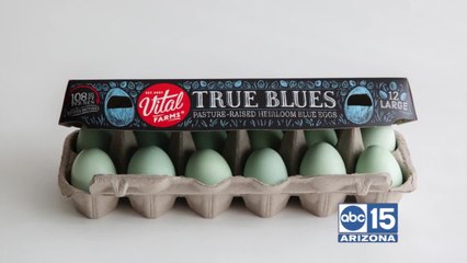 Patricia Bannan is cooking up delicious dishes with Vital Farms True Blue eggs