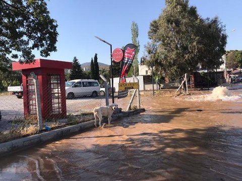 BODRUM'DA İSALE HATTI PATLADI, YOL TRAFİĞE KAPANDI