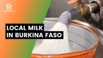 Local milk in Burkina Faso