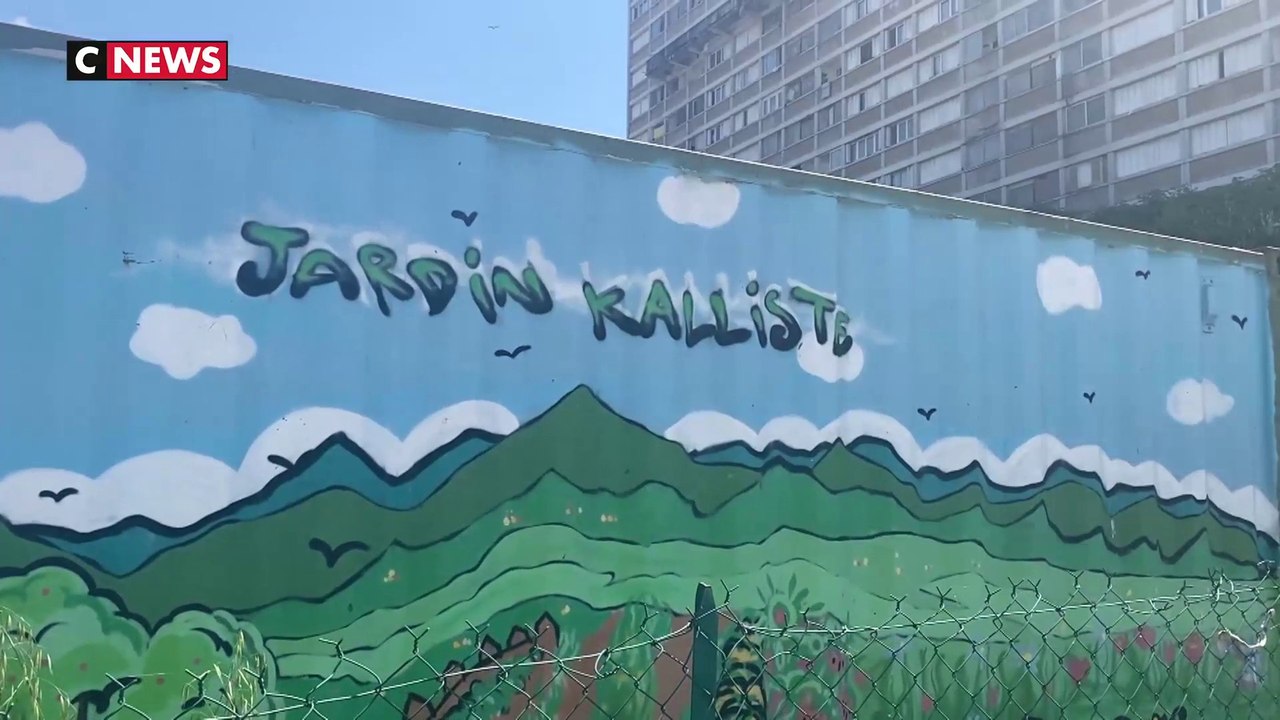 Attaques à la machette, familles évacuées… A Marseille, des gangs sèment la terreur au parc Kallisté