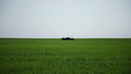 Ukrayna'nın doğusunda cephe hattında görev yapan Ukraynalı askerler