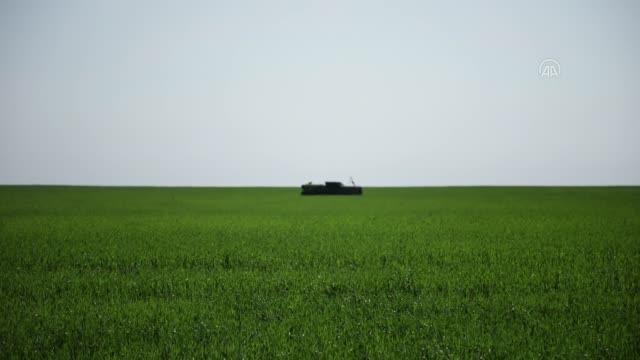 Ukrayna'nın doğusunda cephe hattında görev yapan Ukraynalı askerler