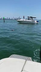 Localizan cuerpo flotando en la Bahía de Miami
