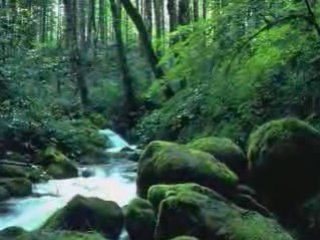 Axel fernando, te equivocas