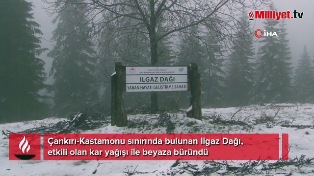 Ilgaz Dağı’nda Mayıs ayında kar sürprizi