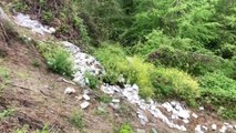 Sinop'ta Ormana Atılan Çöpler Tepki Çekti