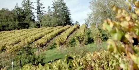 Bong Appétit S01 E01