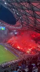 marseille feyenoord adeptos