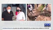 ¡Ojo! Dr. Umaña insta a Sesal y alcaldías, a tomar acciones inmediatas contra el Dengue