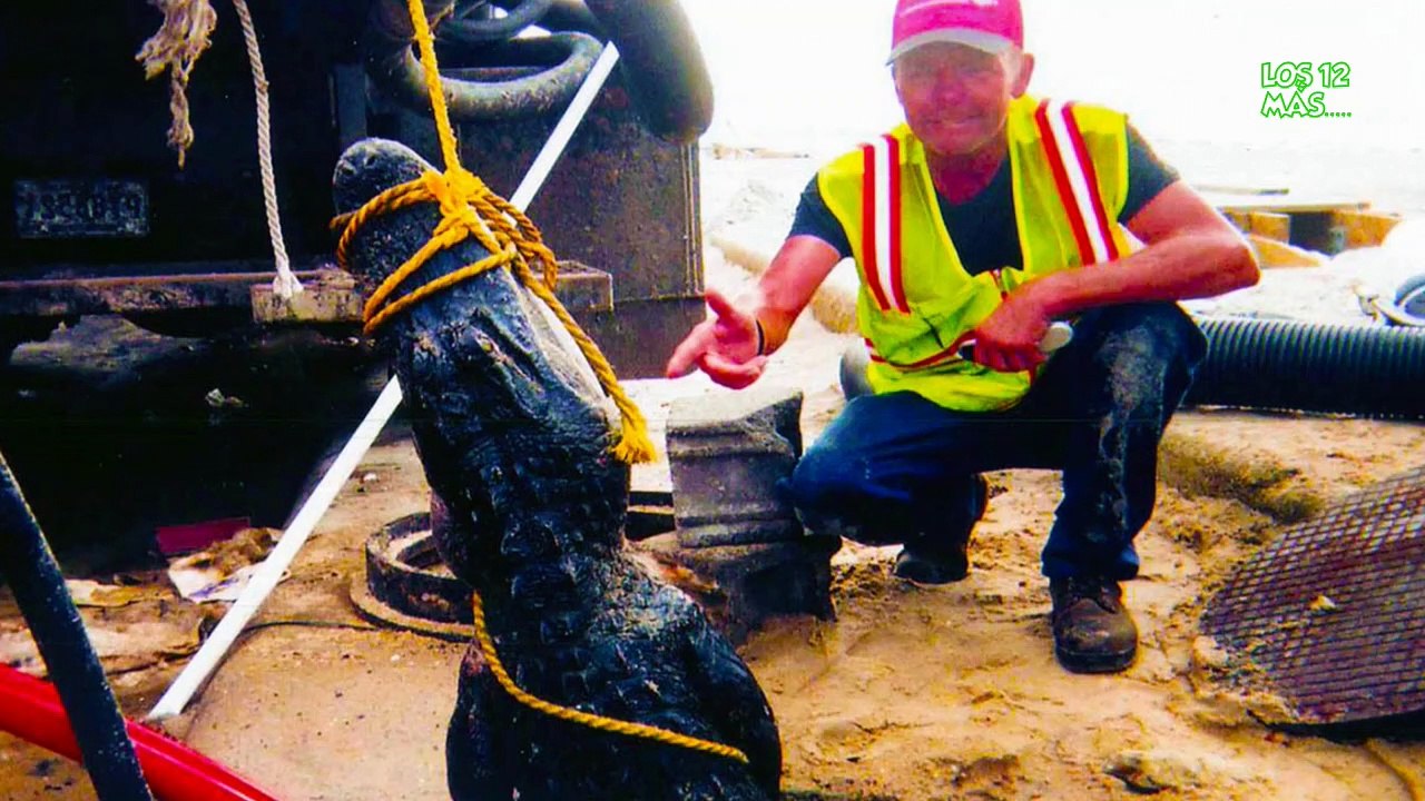 LEYENDAS URBANAS QUE AUN SE CUENTAN