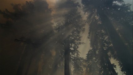 What's polluting our air?