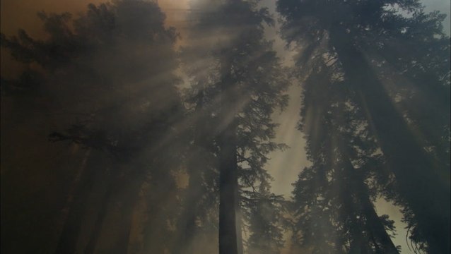 What's polluting our air?