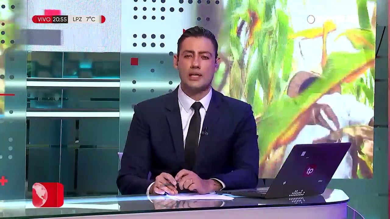 Pecuarios denuncian escasez de maíz y el Gobierno insiste en que Emapa abastece al sector