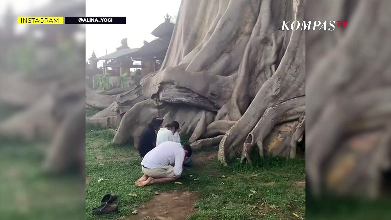 Bule Viral Telanjang di Pohon Sakral Bali Minta Maaf, Ngaku Sudah Serahkan  Diri ke Polisi - Video Dailymotion