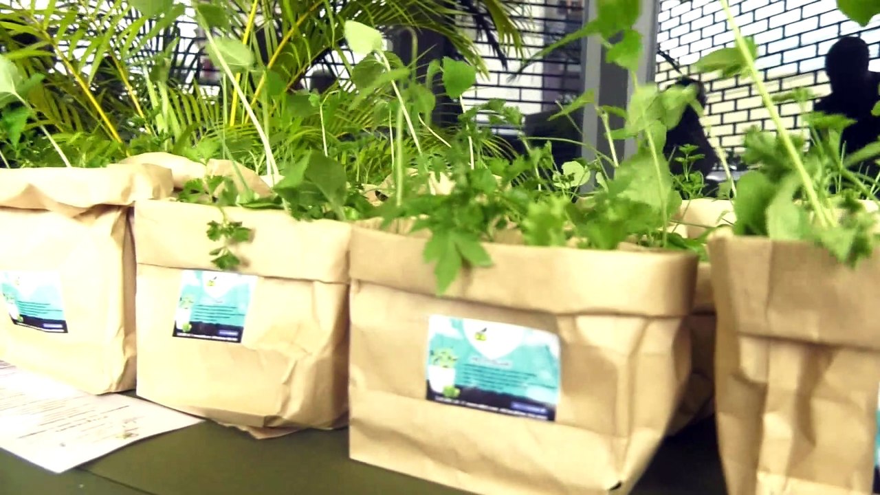 ADB LAUNCHES SEEDLING DRIVE