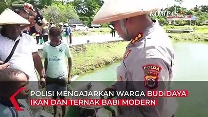 Demi Meningkatkan Ekonomi Warga Papua, Polisi Ajarkan Bertani dan Beternak