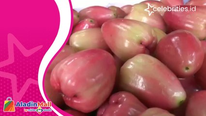 Asyiknya Wisata Makan Jambu Air Khas Demak