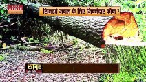 Madhya Pradesh News : Madhya Pradesh में पट्टे बांटने से 5 लाख हेक्टेयर जंगल का सफाया | MP Forest |