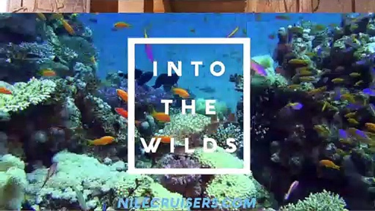 Book Egypt Honeymoon Packages With Nile Cruisers