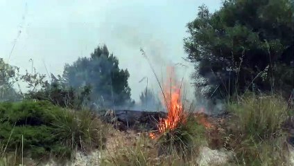 Incendio devastante a Erice