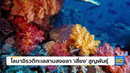 โลมาอิรวดีทะเลสาบสงขลา ‘เสี่ยง’ สูญพันธุ์