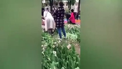 Erdoğan'a seslenen Deniz Akkaya'dan mülteci videosu! "Sapıklar, apaçiler bastı"