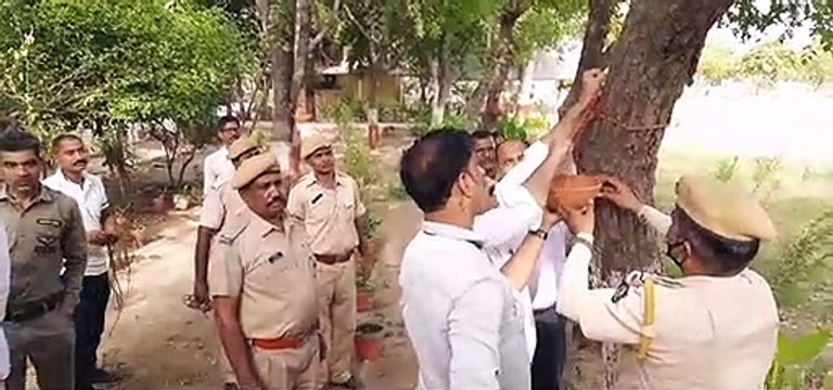 राजस्थान पत्रिका पक्षी मित्र अभियान