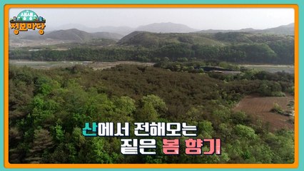 생생 정보마당 [1106회]