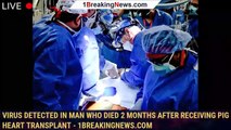 ​​Virus Detected in Man Who Died 2 Months After Receiving Pig Heart Transplant - 1breakingnews.com