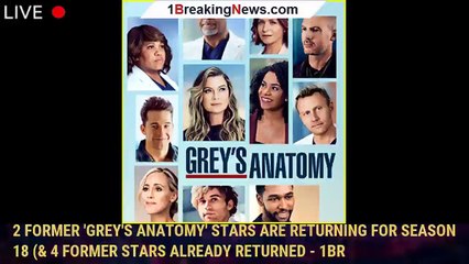 2 Former 'Grey's Anatomy' Stars Are Returning for Season 18 (& 4 Former Stars Already Returned - 1br