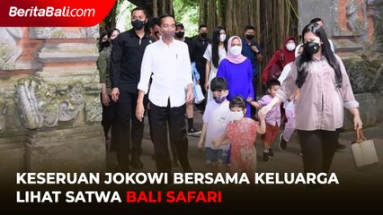 Keseruan Jokowi Bersama Keluarga Lihat Satwa Bali
