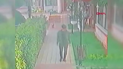 İSTANBUL ? ESENYURT'TA KEDİ TARTIŞMASI