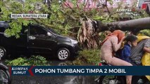Pohon Tumbang Timpa 2 Mobil di Medan