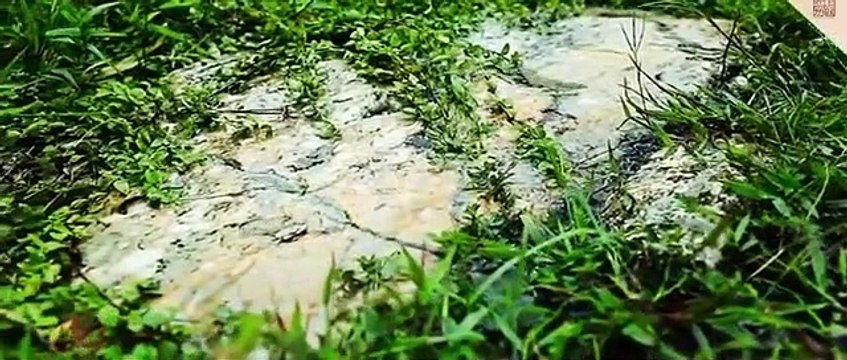 Jackie Chan ft. Wei Yunxi - The Voice of Blue Flagstone