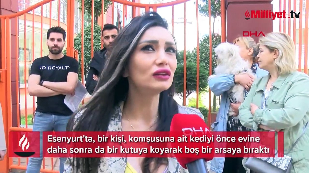 Komşusuna ait kediyi önce ev sonra boş araziye bıraktı Dailymotion Video