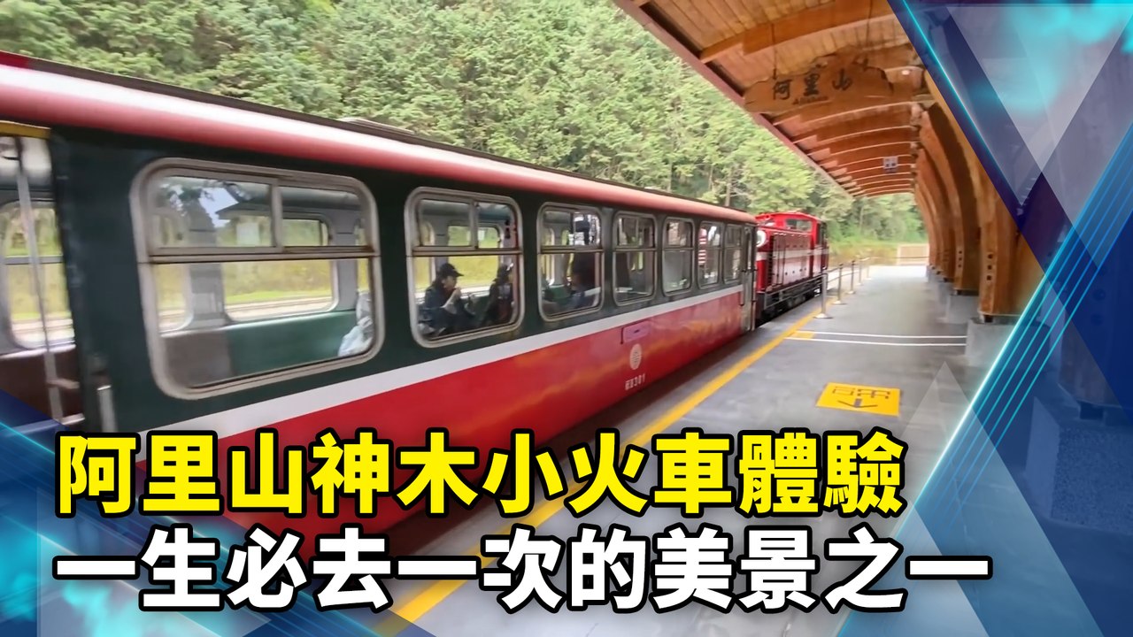 阿里山神木小火車體驗　一生必去一次的美景之一