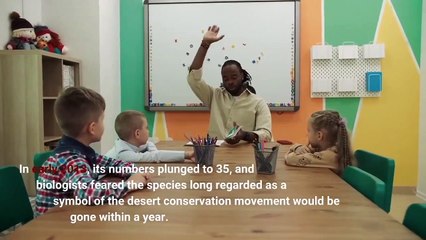 The Devil’s Hole pupfish has paddled back from the brink in a hellish