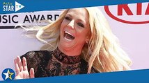 Britney Spears enceinte : la chanteuse pose nue avec son chien