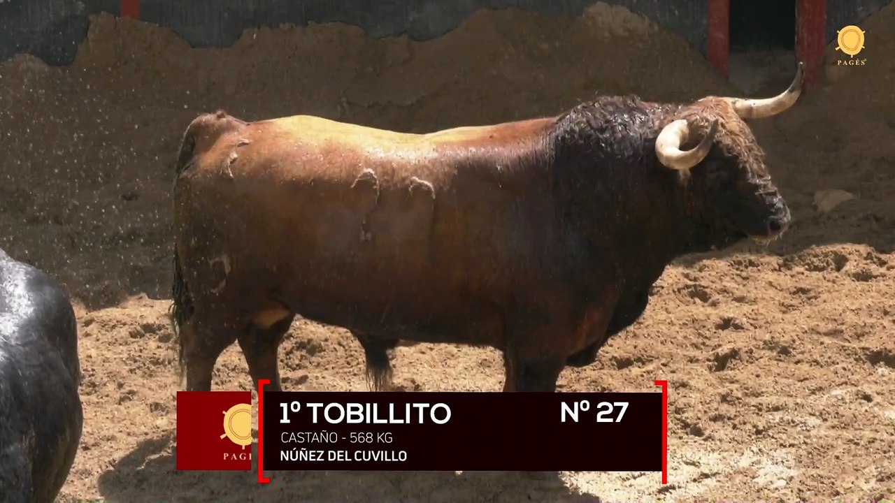 Cuvillo para Sevilla 6-5-2022