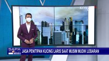 Musim Mudik Lebaran, Jasa Perawatan dan Penitipan Kucing Kebanjiran Permintaan