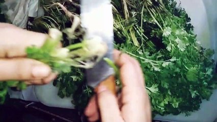 How to store Tomatoes, Coriander,Mint, Ginger Garlic paste Bakra Eid Special #EidSpecial