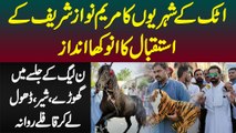 Attock Ke Logo Ka Maryam Nawaz Ke Istaqbal Ka Anokha Andaz - PMLN Jalsa Me Ghora Sher Or Dhol Aa Gia