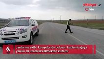 Jandarmadan kaplumbağaya yardım eli